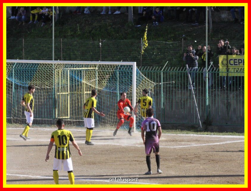 190310 Cephal_Torrenov 065_tn.jpg